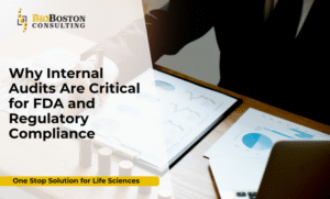 FDA internal audit compliance checklist