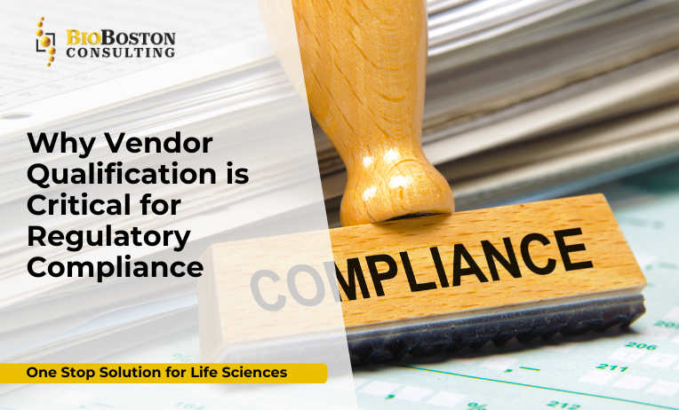 Vendor qualification process in pharmaceutical compliance