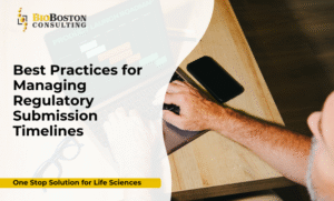 Regulatory submission timeline roadmap
