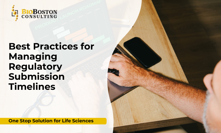 Regulatory submission timeline roadmap