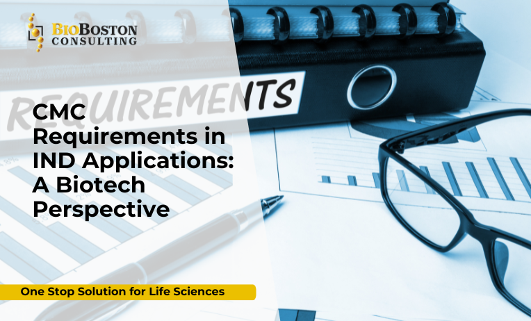 CMC documentation for IND submission in biotech