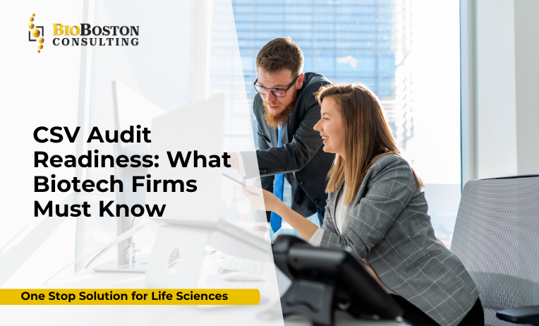CSV audit readiness workflow for biotech firms