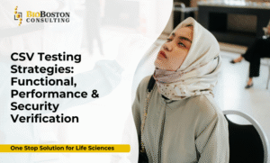 CSV testing strategies functional performance security verification