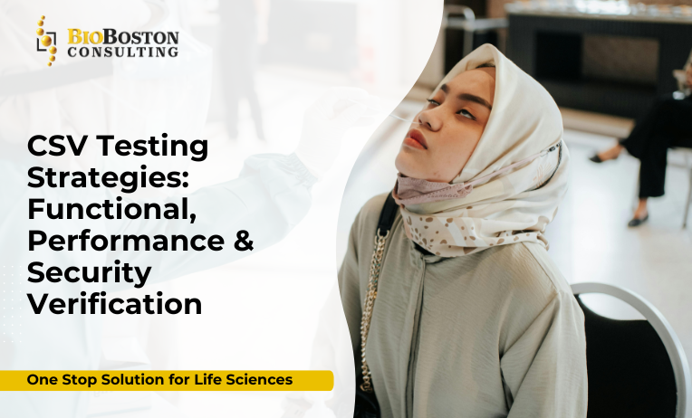 CSV testing strategies functional performance security verification