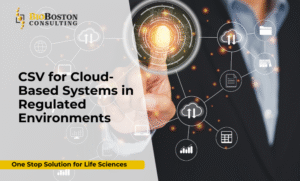 Cloud-based CSV challenges in regulated environments