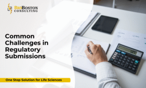 Regulatory submission challenges in life sciences