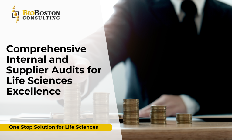 Internal audits for life sciences ensuring GxP compliance
