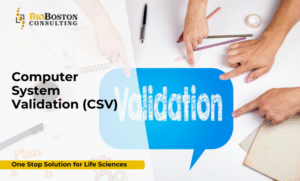 BioBoston Consulting provides FDA- & GxP-compliant Computer System Validation (CSV) solutions for pharma, biotech, and medical devices—ensuring data integrity and inspection readiness.