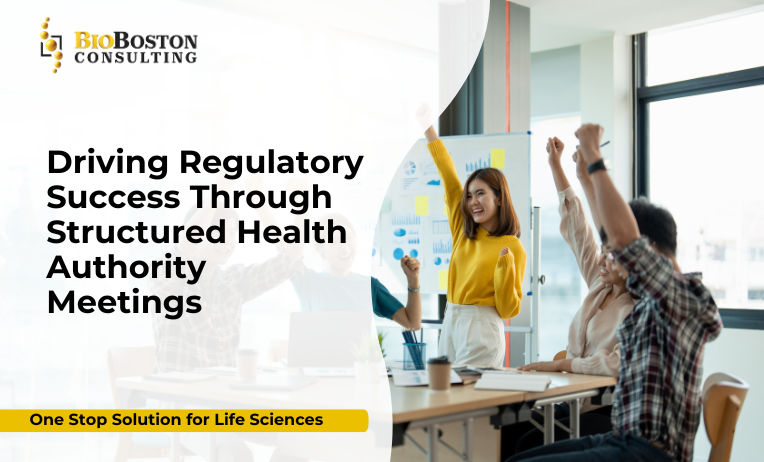 Structured health authority meetings with FDA, EMA, and global regulators