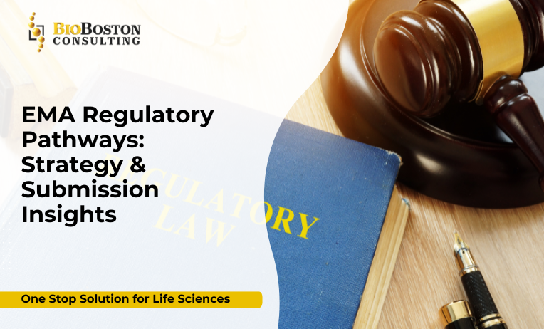 EMA regulatory pathways overview