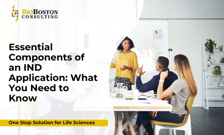 Preclinical studies for FDA IND application