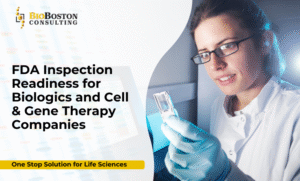 FDA inspection readiness for biologics manufacturing – BioBoston Consulting