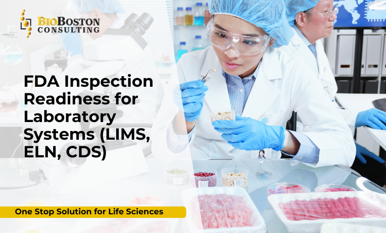 ELN system inspection readiness checklist