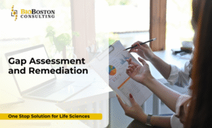 Life sciences compliance expert performing gap assessment for FDA audit readiness