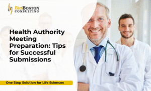 Briefing document development and regulatory strategy guidance