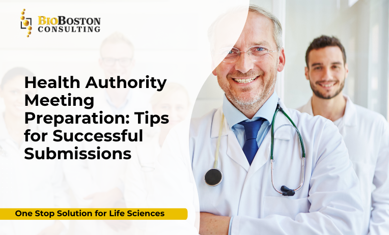 Briefing document development and regulatory strategy guidance