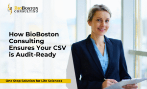 Risk-based CSV strategy in biotechnology organization