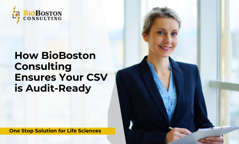 Risk-based CSV strategy in biotechnology organization