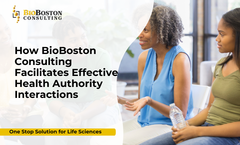 Regulatory meeting briefing document preparation and strategy