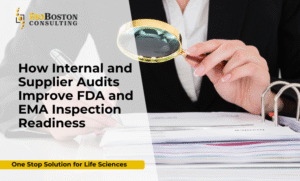 Pharma team preparing for FDA and EMA inspection with internal audit checklist