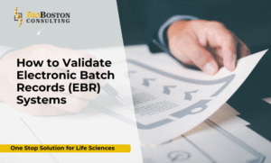 EBR system validation workflow in regulated environments