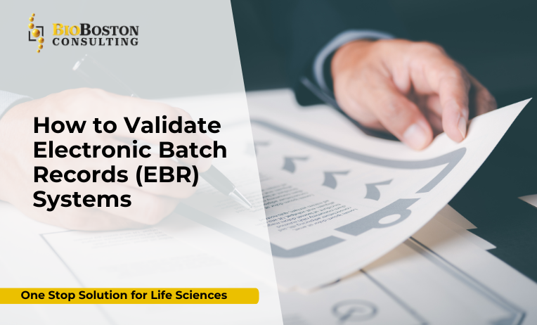 Ensuring Compliance: Validating Electronic Batch Records (EBR) Systems in Regulated Environments