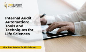 Life sciences internal audit automation process