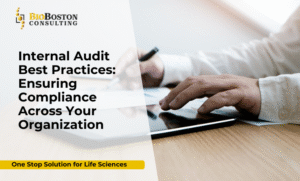 Life sciences internal audit consulting session with BioBoston experts