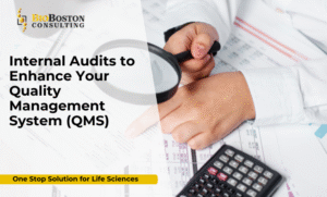 Risk-based internal audit planning by BioBoston Consulting