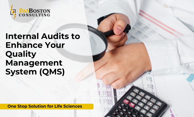 Risk-based internal audit planning by BioBoston Consulting