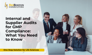 Pharma team conducting internal GMP compliance audit