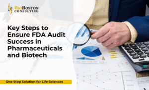 Pharmaceutical and biotech FDA audit readiness