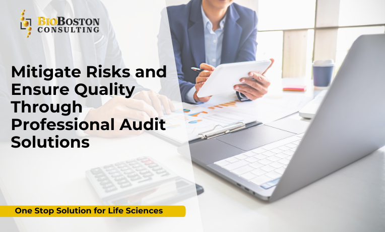 Professional internal and supplier audit solutions for life sciences