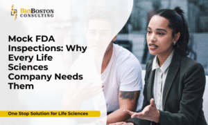 Mock FDA inspection in pharmaceutical facility