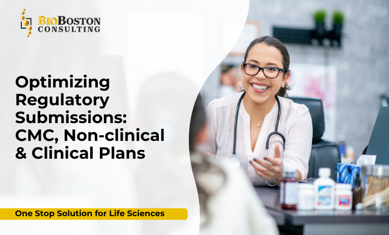 Non-clinical and clinical regulatory plans overview