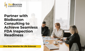 BioBoston Consulting FDA inspection readiness consulting