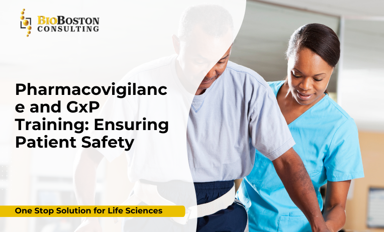 Pharmacovigilance and GxP Training: Ensuring Patient Safety