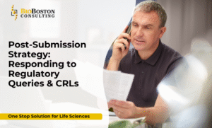 Post-submission strategy regulatory queries support
