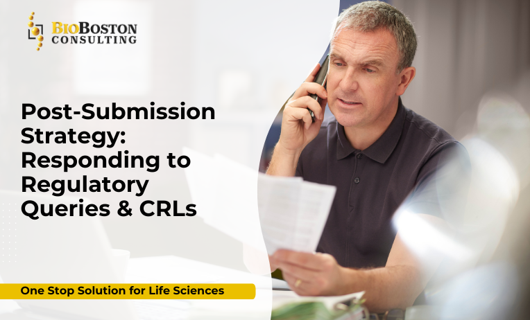 Post-submission strategy regulatory queries support