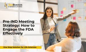 Biotech team preparing for FDA Pre-IND meeting