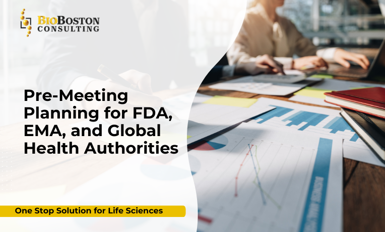 Pre-meeting planning for FDA, EMA, and global health authorities