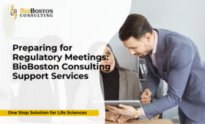 Regulatory meeting preparation for FDA and EMA
