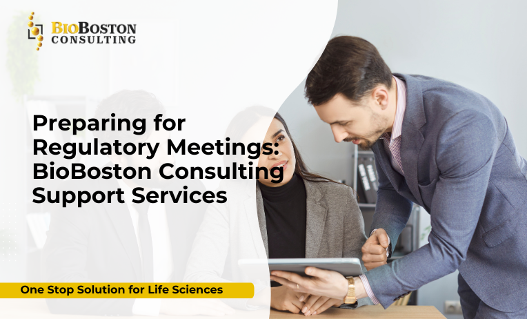 Regulatory meeting preparation for FDA and EMA