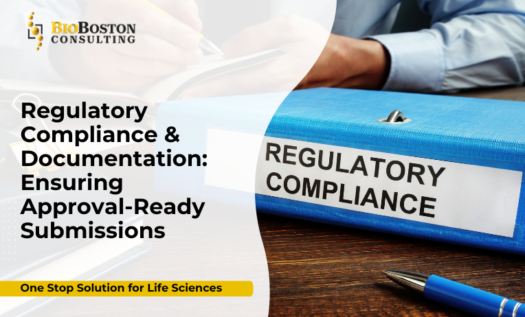 Regulatory compliance documentation for FDA EMA submissions