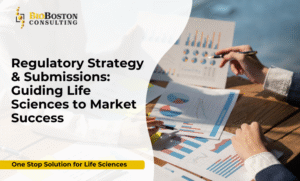 Regulatory strategy and submissions for life sciences