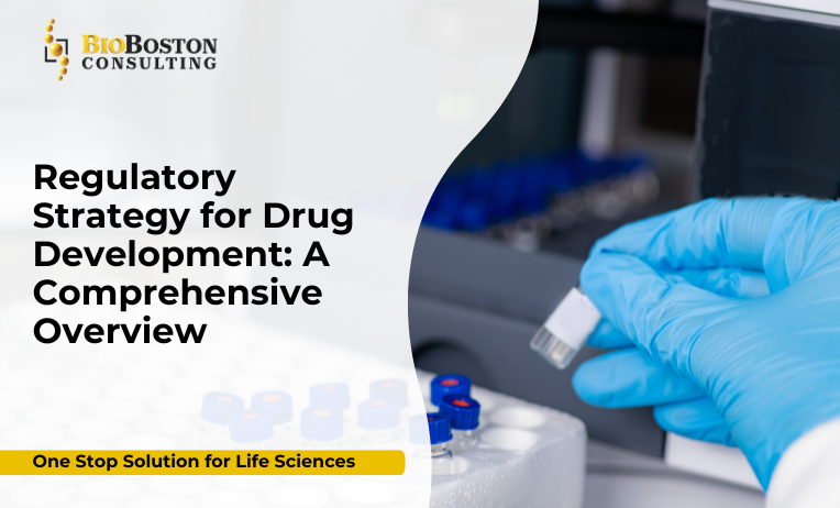 Regulatory strategy in drug development roadmap