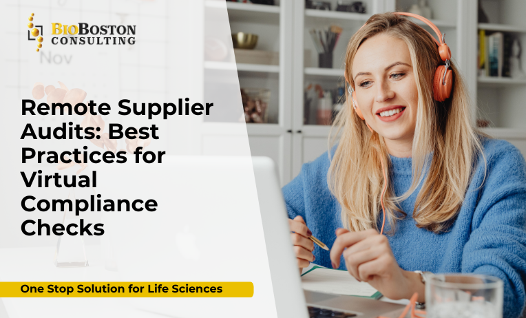 Virtual supplier audit process in biopharma