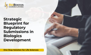 Regulatory blueprint for biologics submissions FDA EMA