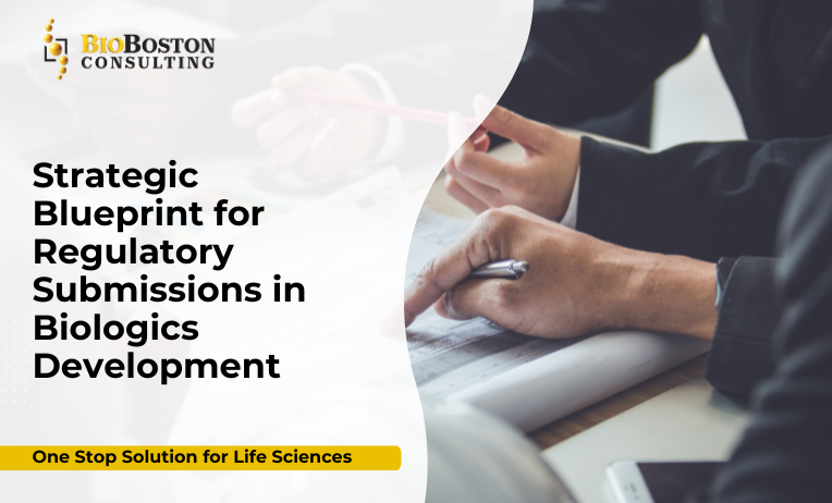 Regulatory blueprint for biologics submissions FDA EMA