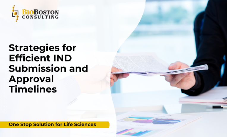 Early regulatory planning for efficient IND submission